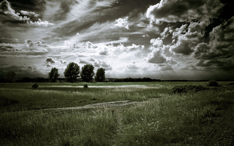 england, outdoors, autumn, meadow, trees, clouds, farm, dark, crop, beauty In Nature, grass, landscape, cloudscape, nature, environment, color Image, hay