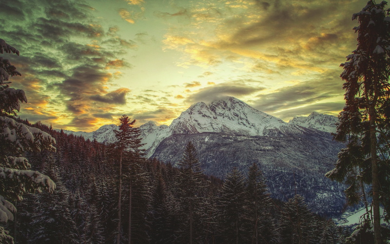 pines, forest, no People, woodland, rocky Mountains, idyllic, scenics - nature, european Alps, national Landmark, mountain, white, vacations, tree, valley
