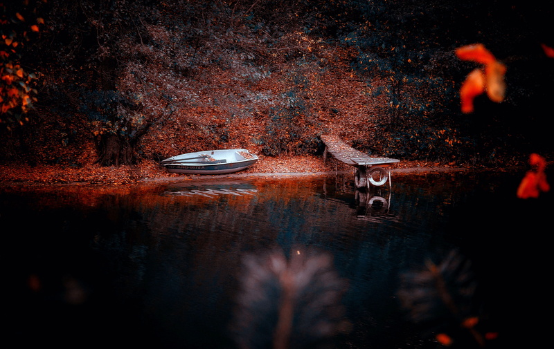 scene, no people, 5K, river, day, lake, reflection, dark, autumn, plant, booze, nautical vessel, leaf, nature, gloomily, climate, transportation, waterfront