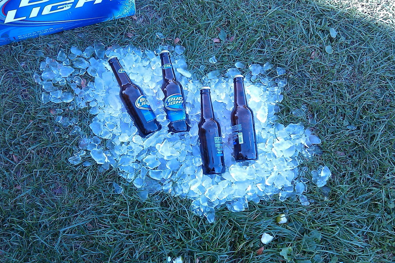 plant, chilled, gardening, refreshment, brewed, choice, cold, lager, bar, field, tasting, hops, Alcohol, no people, beverage, drunk, Ice, still life, grass