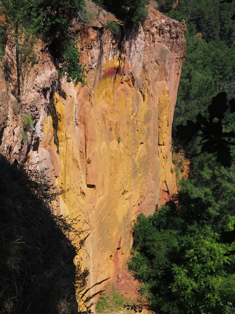 tree, red ocher, physical geography, rock, geology, chaussee of geants, plant, day, rock formation, ocher, roussillon, apt, formation, idyllic, france