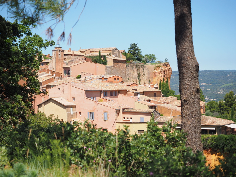 village, tree trunk, building, residential district, town, community, department of vaucluse, townscape, tree, architecture, roussillon, outdoors, growth