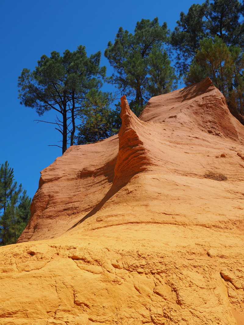 rock, bright, department of vaucluse, climate, ocher quarry, tree, 4K, beauty in nature, nature park luberon, places of interest, environment, red ocher