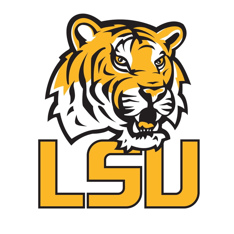 football, lsu, college, 720P, tigers