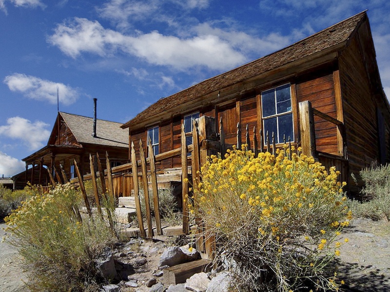 old, cabin, photography, ghost town, land, building exterior, plant, wooden, close, california, usa, field, tree, house, scenery, sky, mining, outdoors