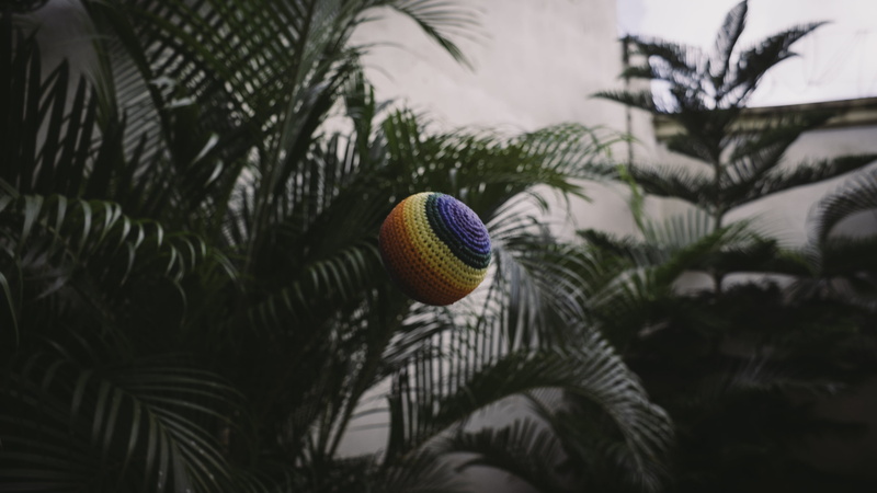 celebration, plant part, multi colored, beauty in nature, nature, round, tree, selective focus, green color, growth, outdoors, plants, leaf, ball, 2K