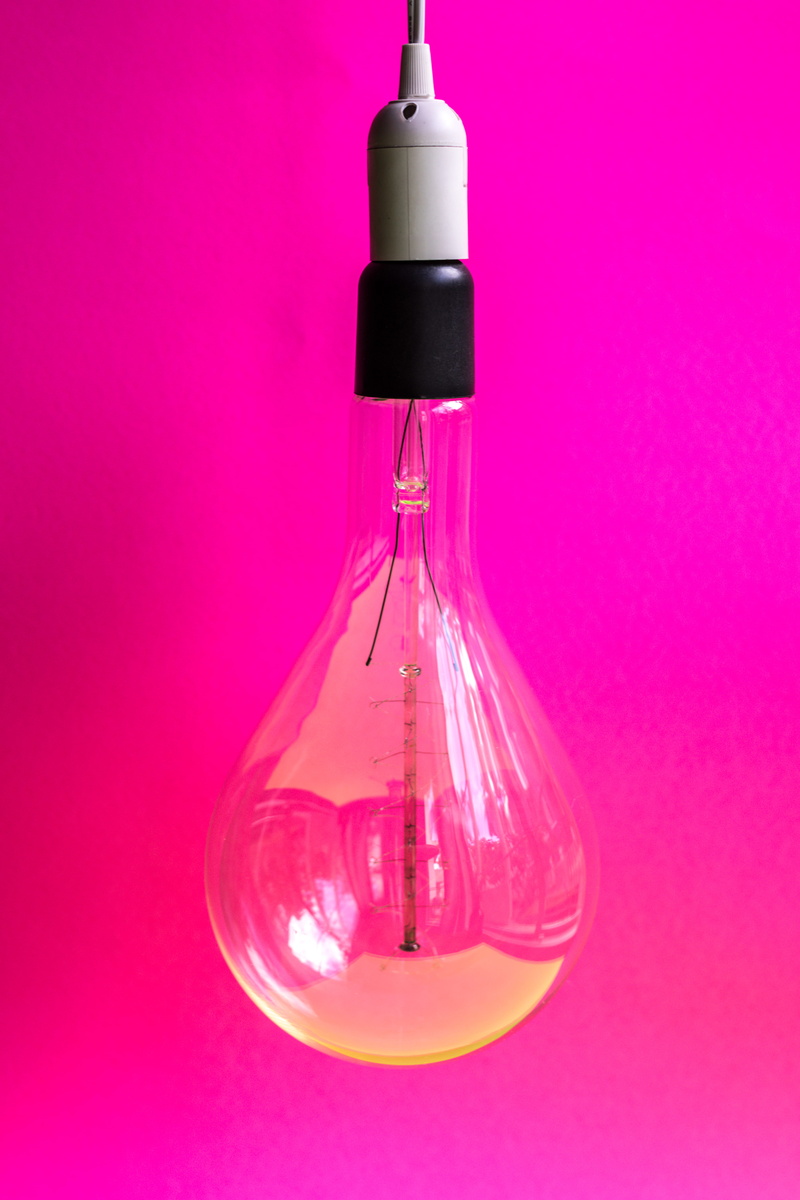 filament, colored background, still life, hanging, lighting equipment, pink, power supply, electricity, studio shot, transparent, creativity, led, pink background