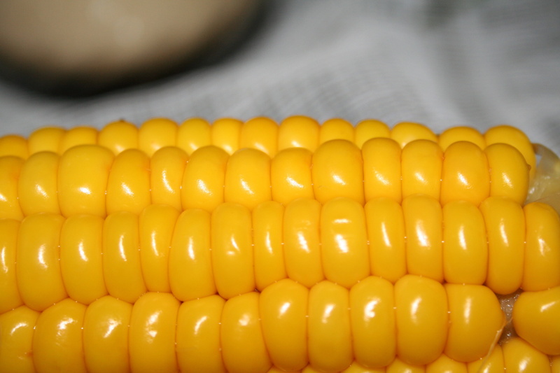 corn on the cob, yellow, food and drink, corn, repetition, wellbeing, close-up, food, photography, cooked, healthy eating, organic, temptation, freshness