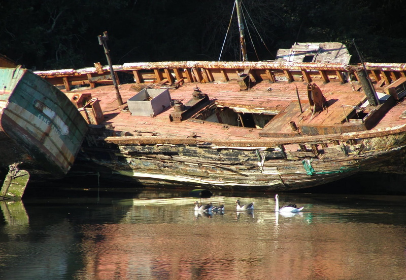 transportation, Old, old ships, beside, rowboat, ship, marina, body, river, water, holiday, building exterior, harbor, outdoors, architecture, Sea, moored