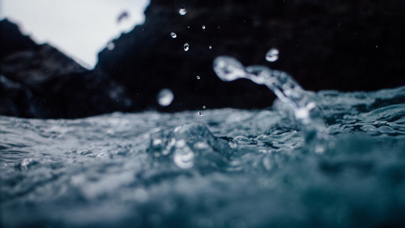 marine, motion, nature, photo, day, surface level, animal themes, one animal, macro, outdoors, close, photography, selective focus, sport, close-up, lens
