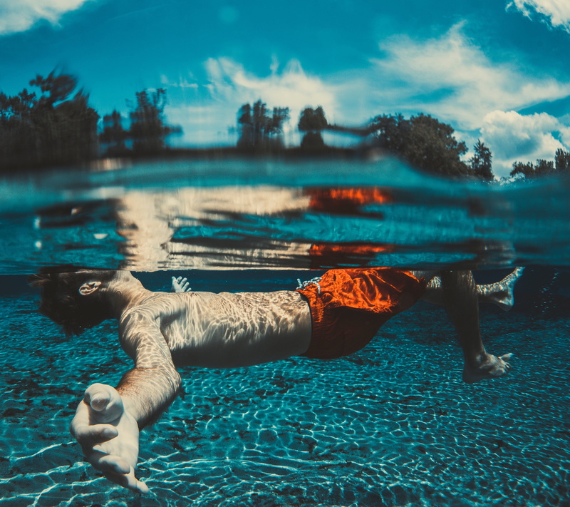 sky, back, no people, underwater, pool, domestic animals, tree, nature, lake, reflection, clouds, swimming, 4K, domestic, sea, pets, vertebrate, blue