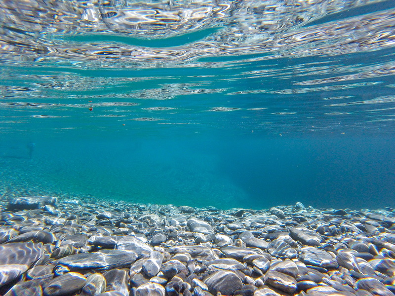 rocks, vertebrate, swimming, gray, blue, waves, undersea, animal wildlife, sea life, ocean, underwater, no people, nature, large group of animals, body