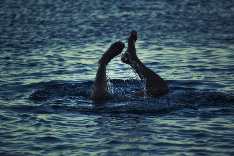 sea, diving, no people, animal themes, splashing, swim, splash, day, vertebrate, waterfront, person, sunset, water, man, animal, animals in the wild, drop