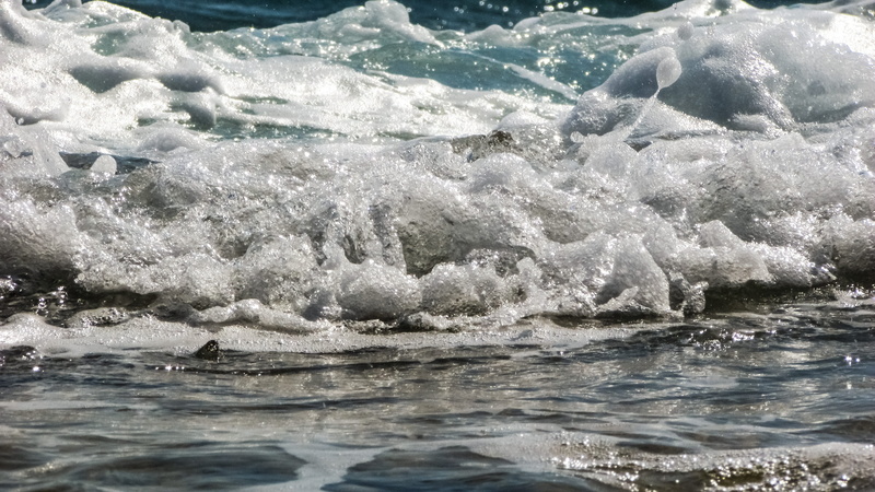 splashing, rippled, animal themes, land, aquatic sport, Liquid, motion, scenics - nature, bubbles, marine, sport, close up, Water, flowing water, swimming