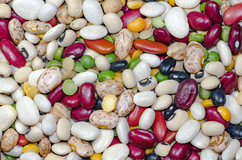 close-up, still life, macro shot, multi colored, red, large group of objects, shape, assorted, indoors, legume, bean, food, diet, textured, backgrounds