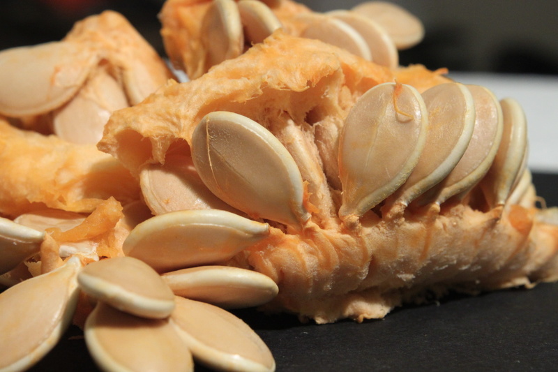 close-up, selective focus, Drink, Healthy, pumpkin, shrimp - seafood, serving size, table, healthy eating, meal, food and drink, snack, fried, ready-to-eat