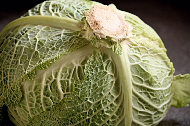 food, kohl, raw food, raw, leaf, healthy eating, organic, studio shot, vegetable, purchasing, single object, kitchen, savoy cabbage head, krause leaves