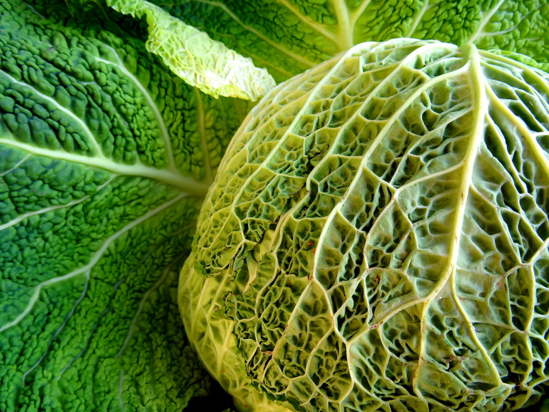 vegetable, sale, textured, agriculture, close-up, kohl, pattern, edible, freshness, vegetables, green, backgrounds, 5K, raw, eat, autumn, green color