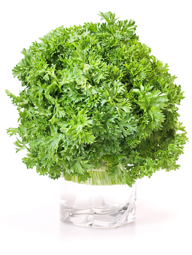 healthy, cut out, diet, indoors, white, eat, white background, bunch, isolated, close, fragrant, still life, studio shot, green color, wellbeing, freshness