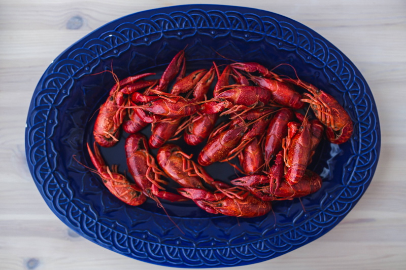 backgrounds, plate, raw Food, 4K, blue plate, tasty, high angle view, organic, no People, blue, wood - Material, crustacean, ingredient, freshness, food And Drink