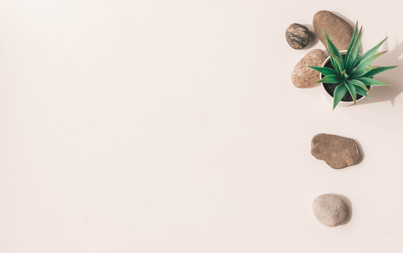 invertebrate, food, studio shot, high angle view, green, apparel, grain, rock, plant, crystal, seed, nature, pot, close-up, beginnings, growth, pebble
