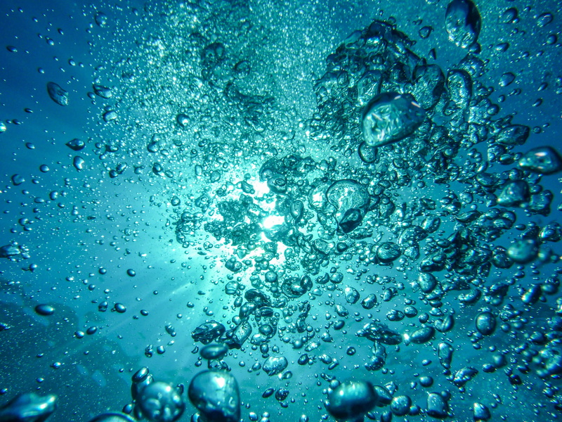 nature, 2K, motion, photography, close-up, undersea, backgrounds, blue, transparent, croatia, fish, indoors, water, bubble, raindrop, glass - material