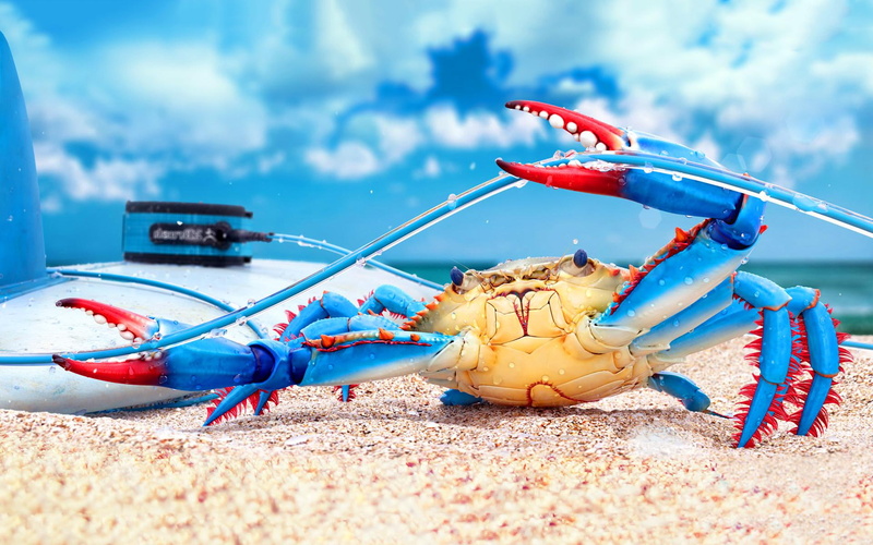 other animals, colorful, blue, crab, 1080P, beach, red