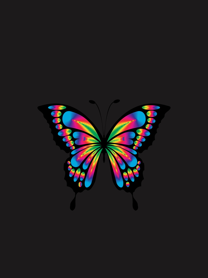 bright, multicolored, 4K, butterfly, shine, prismatic, chromatic