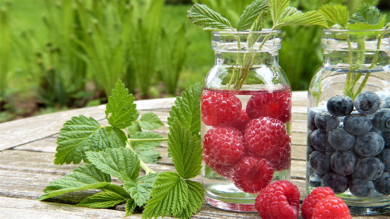 bless you, food, ripe, antioxidant, mint leaf - culinary, herb, garden, plant, no people, frisch, fruits, nitrate, clean, green color, healthy, fresh air