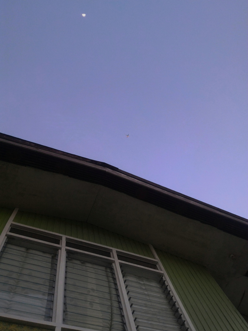 low angle view, day, clear sky, sky, house, roof, building, window, bird, no people, outdoors, residential district, building exterior, copy space, blue