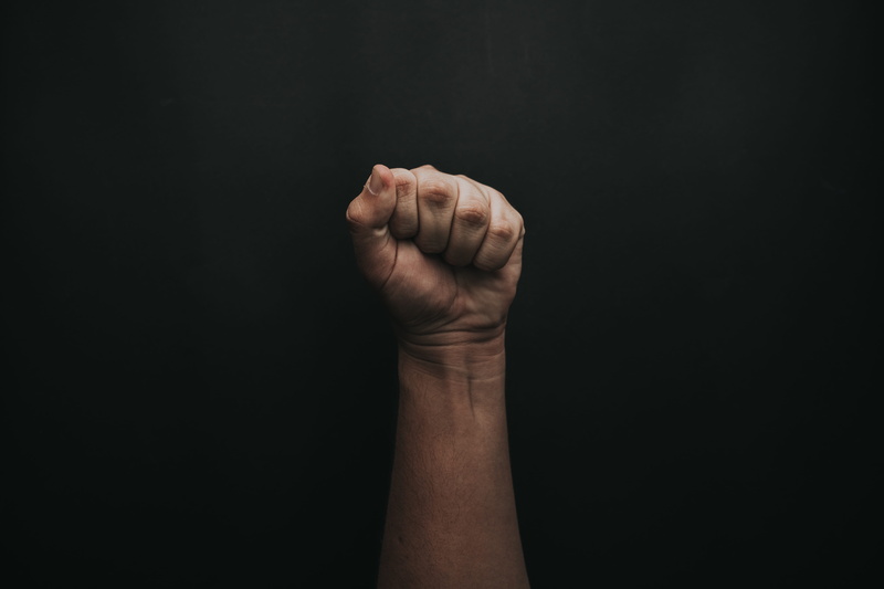 indoors, close-up, fist, human limb, black background, hand, black color, limb, human, arms raised, copy space, plant, perch, body part, nickel, aggression