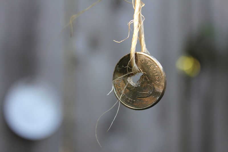 nickel, twig, design, outdoors, selective focus, shape, day, nature, close-up, string, silver colored, positive emotion, gold colored, canada, vancouver