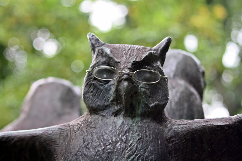 eagle owl, day, animal body part, domestic animals, hamburgensien, black color, john lennon, intellectual, animal wildlife, tree, focus on foreground, one animal