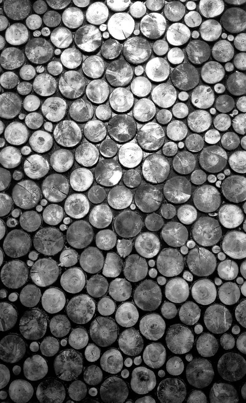 stack, lumber, french door, nickel, flooring, arrangement, plant, close-up, backgrounds, nature, dime, abundance, high angle view, shimla, wood, Black