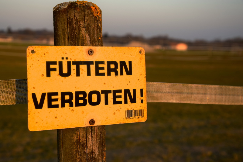 street sign, western script, text, fence, focus on foreground, message, wooden post, close-up, sign, note, nature, communication, road sign, post, boundary
