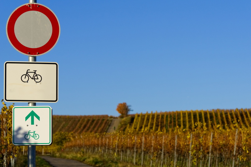 bicycle path, symbol, directory, information sign, wheel, human representation, street sign, road sign, communication, mark, clear sky, land, vineyards