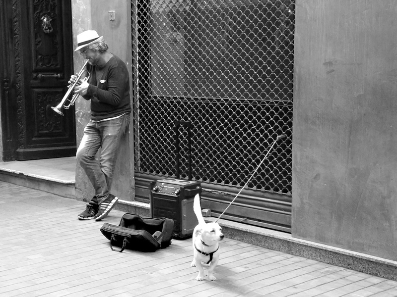 one person, musica, lifestyles, girls, outdoors, calle, spain, men, males, málaga, malaga, real people, 1080P, casual clothing, vertebrate, child, clima