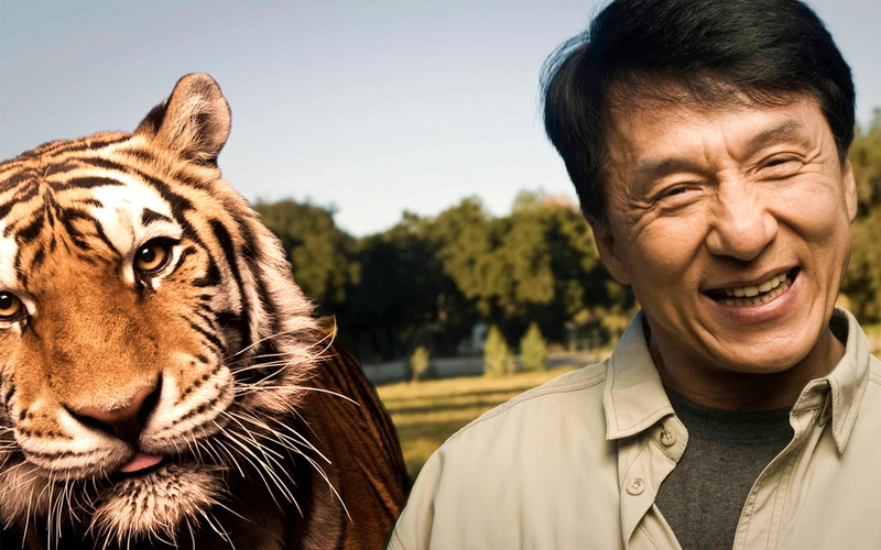 men, portrait, striped, large, animal Head, wildlife, mid adult, human Face, asia, smile, happiness, one animal, 1080P, headshot, danger, emotion, looking