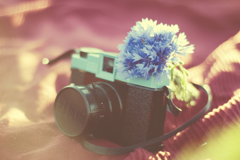 camera, old camera, foto, photographic equipment, digital camera, photography themes, softness, indoors, flower head, photography, black, retro, lomo, photographer