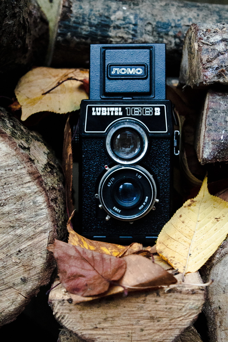old, twin, reflex, camera - photographic equipment, digital camera, number, still life, plant part, tree, wood - material, day, photography themes, timber