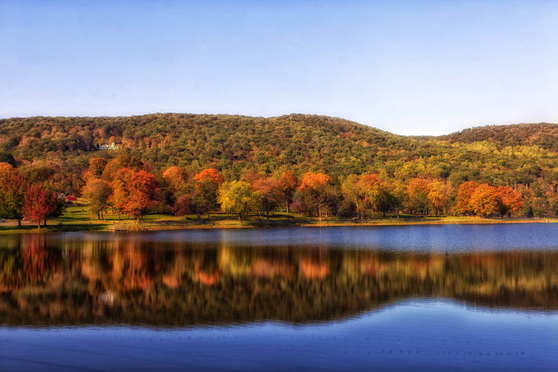 coniferous tree, scenics - nature, mountain, tranquility, forest, water, lake, plant, reflection, environment, pine tree, pine woodland, yellow, Connecticut