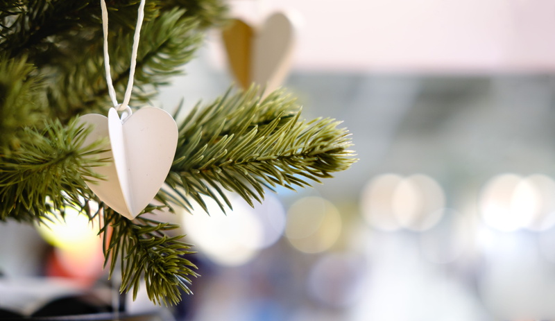 no people, concept, fir, christmas, focus on foreground, selective focus, needle - plant part, close, focus, holiday - event, depth of field, spruce, ornament