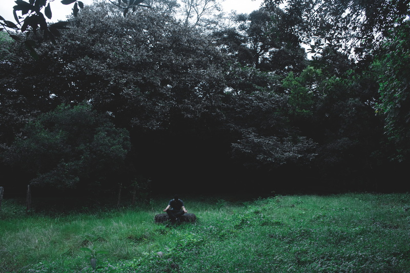 grass, male, sitting, tranquility, person, one person, leaf, dark, shirt, leisure activity, wearing, man, growth, explore, field, green color, land, log