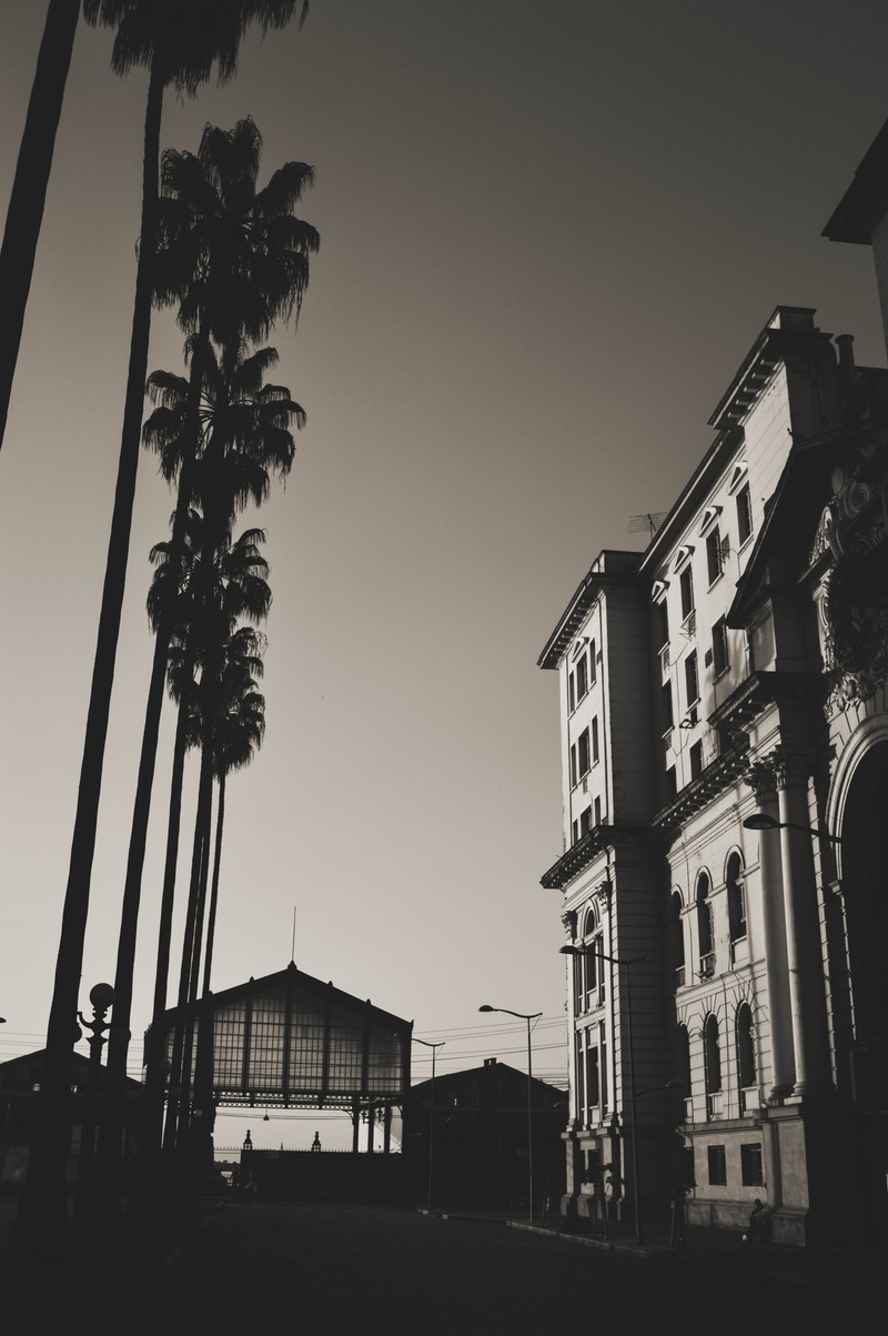 religion, sky, tree, no people, architecture, city, brown, nature, concrete, built structure, monochrome, residential district, palm tree, building, day