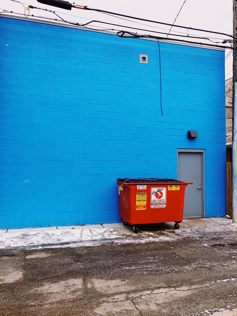 wall, nature, wall - building feature, house, 3004 w fullerton ave, city, recycling bin, blue, brick, footpath, chicago, garbage can, environmental issues