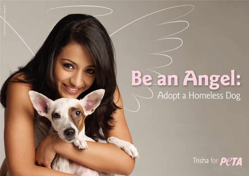 dog, girl, happy, dogs, angel, smile, 1080P, adopt, homeless, animals, want, illustration
