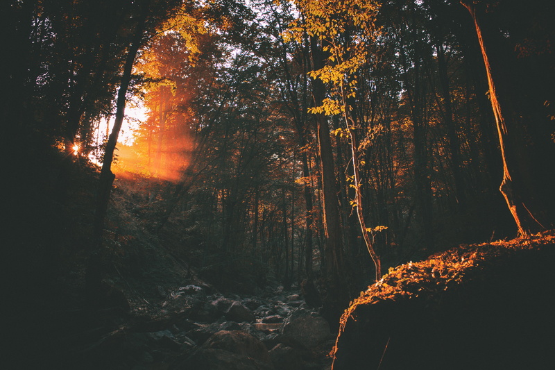 fall, nature, tranquil scene, dark, sunbeam, light, rocks, travel, change, sunset, tranquility, landscape, park, streaming, land, orange color, trees, tree trunk