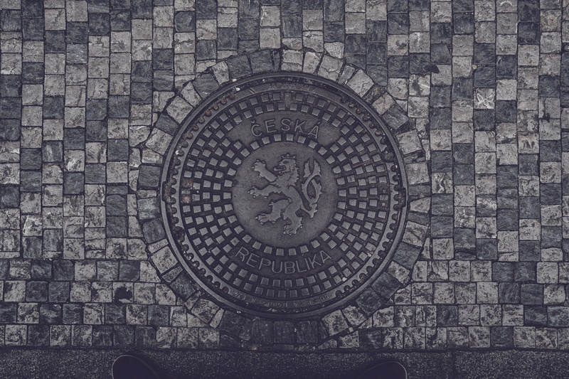 head, metal, the past, badge, the lion, 5K, channel, sign, circle, representation, backgrounds, logo, directly above, geometric shape, too, creativity