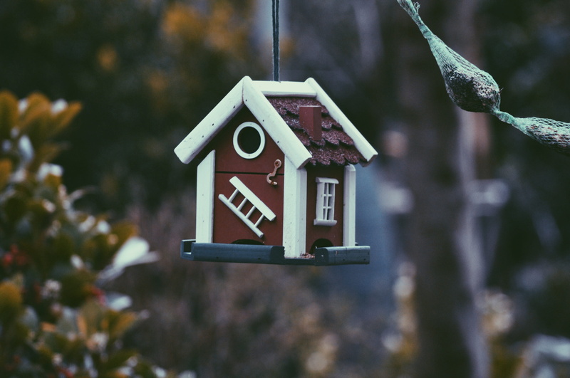 sign, bird house, red, focus, danger, empty, close-up, copyspace, road sign, house, communication, message, blank, bird, white, warning sign, focus on foreground