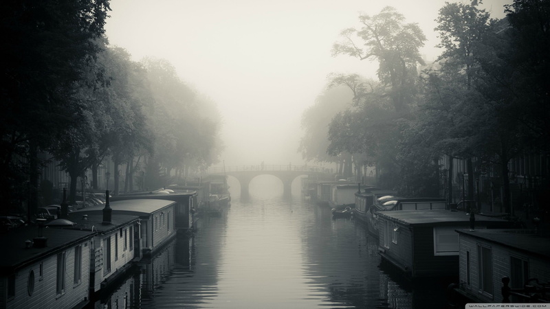 trees, bleak, monochrome, river, mist, 2K